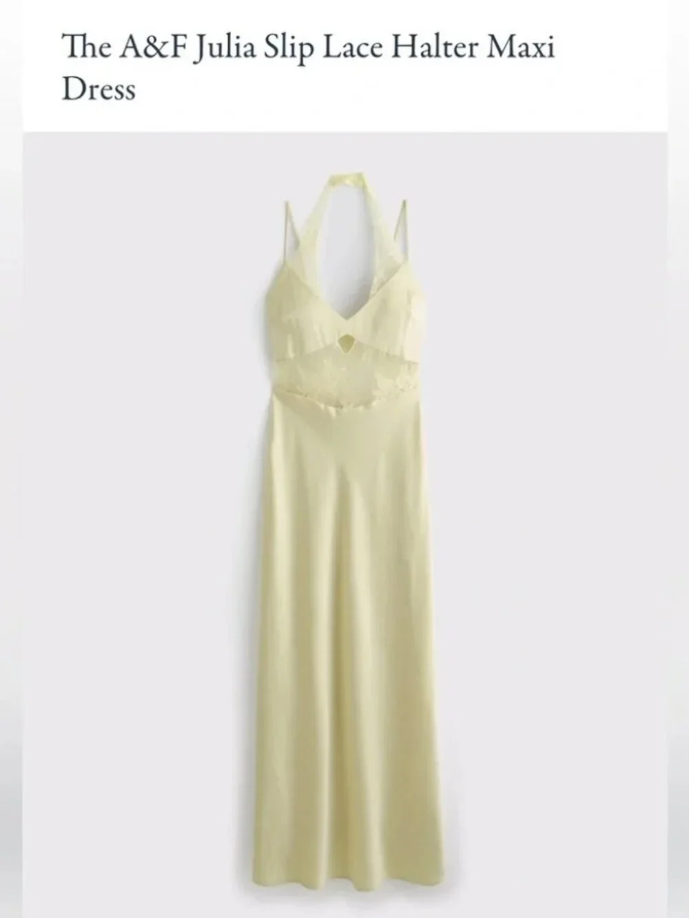 Abercrombie & Fitch Julia Slip Lace Halter Maxi Dress – Size S – NWT
